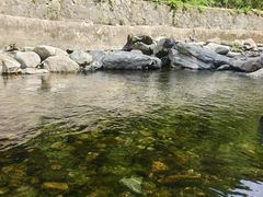 -少华山国家森林公园