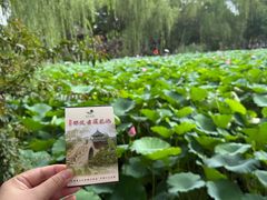 -莲池书院博物馆