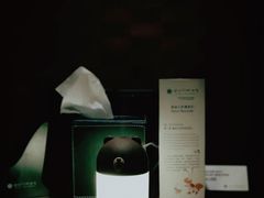 -三亚亚龙湾铂尔曼别墅度假酒店