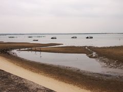 -北海金海湾红树林生态旅游区