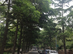 iphone_upload_pic-八大关景区