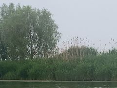 -白洋淀景区