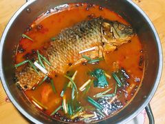 酸汤鲤鱼-袁家豆腐
