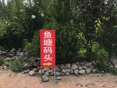 -白洋淀锅里口灶台鱼
