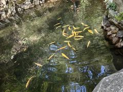 -本溪汤沟绿石谷森林公园