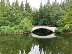 -东平国家森林公园