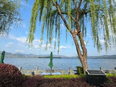 -杭州西湖柳莺里酒店