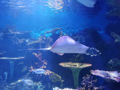 -华夏文旅海洋公园