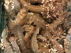 -阿马蛋汤·宁波小海鲜(总店)