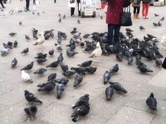 -圣马尔谷圣殿宗主教座堂