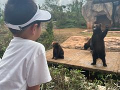-海南热带野生动植物园