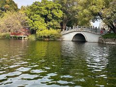 -荔湾湖公园