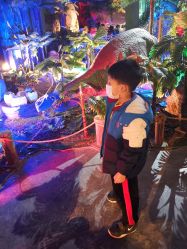 -恐龙探索乐园(磁器口店)