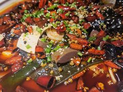 -雲蜀龙阁·金牌水煮鱼(方庄店)