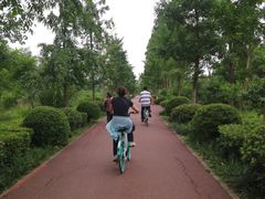 -白鹭湾湿地公园