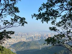 -阳台山森林公园