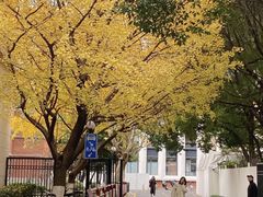 -上海交通大学(闵行校区)