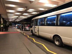 -新加坡文华东方酒店