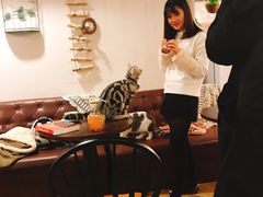 -共舞时光猫咖·狗咖(新街口店)