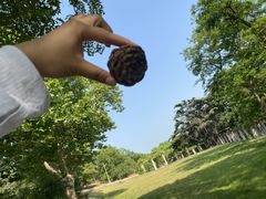 -青岛德国总督楼旧址博物馆