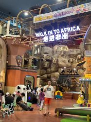 -卡通尼·Safari非洲探索乐园·生日会(金桥国际商业广场店)