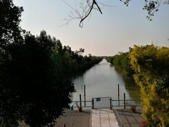 -大湾区中央湿地公园-十九涌
