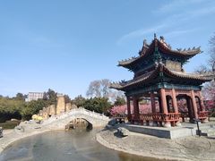 -关林