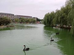 -洛阳马蹄泉旅游度假村