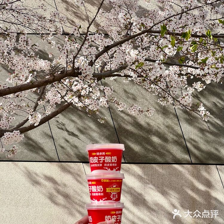 夏天到了，在樱花下吃顶流小吃