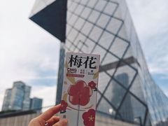 -中央广播电视总台(光华路办公区)