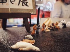 -财神鸡煲(华强北店)