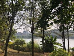 -广东花都湖国家湿地公园