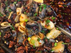 -黑竹香鸡(营和巷店)