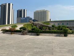 -陕西自然博物馆