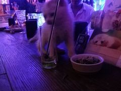 -星宿秘码(鼓浪屿老店)
