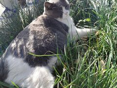 -长春观斋补堂素菜馆