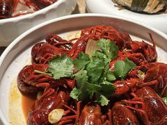 -同福龙虾(高新店)
