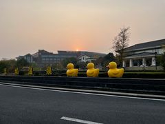 -苏州湾·王焰温泉