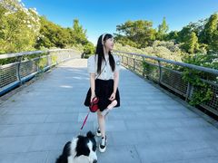 -贡湖湾湿地公园