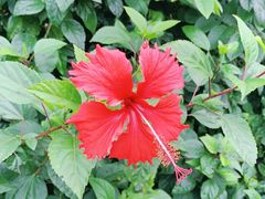 -白沙门生态公园
