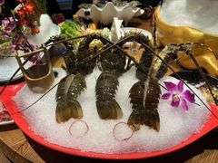 -尚海豆捞(乐虹坊店)