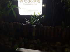 -达蓬山温泉