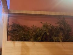 -鱼酷活鱼烤鱼(静安大融城店)