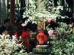 -农厨好味·温泉鹅·农家菜