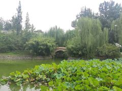 -北京民族园葉子里酒店(鸟巢店)