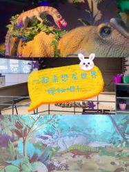 -恐龙探索乐园(磁器口店)