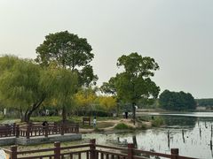 -海天湖公园