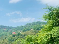 -莫干山风景区