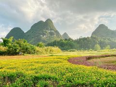 -靖西鹅泉风景区