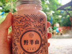 -野萃山·潮汕厚果汁(十亩地店)
